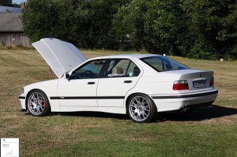 318is Limo Alpinweiss 3 - 3er BMW - E36 318is Limo Alpinweiss 3 - 3er BMW - E36