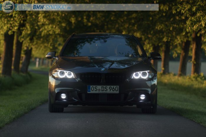 f11 530d Touring, M Packet - 5er BMW - F10 / F11 / F07 f11 530d Touring, M Packet - 5er BMW - F10 / F11 / F07