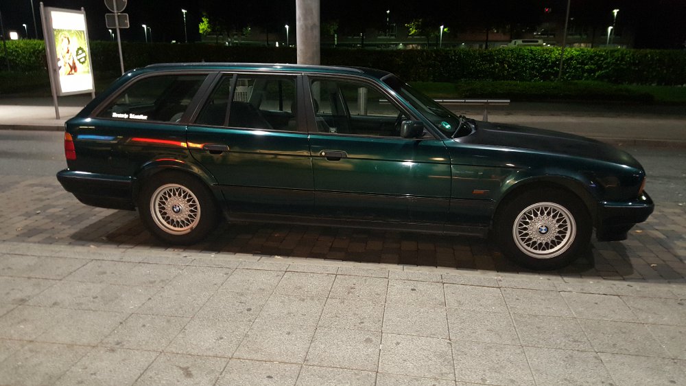 520i Touring Gas, grn, zuknktige Ratte? - 5er BMW - E34