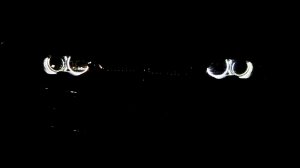 320Ci Topasblau Styling 92 US Licht - 3er BMW - E46