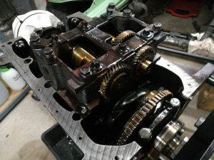 Z3 Restauration *Innenraum update* - BMW Z1, Z3, Z4, Z8