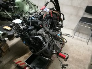 Z3 Restauration *Innenraum update* - BMW Z1, Z3, Z4, Z8