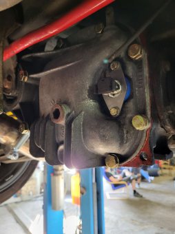 BMW e36 316i Mein erstes Auto * nun 323ti - 3er BMW - E36