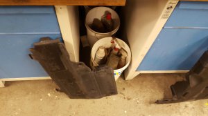 Bmw M3 in Phoenix Gelb - 3er BMW - E46