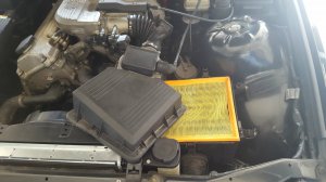 BMW e36 316i Mein erstes Auto * nun 323ti - 3er BMW - E36