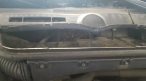 BMW e36 316i Mein erstes Auto * nun 323ti - 3er BMW - E36