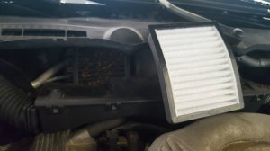 BMW e36 316i Mein erstes Auto * nun 323ti - 3er BMW - E36
