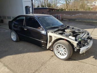 BMW e36 316i Mein erstes Auto * nun 323ti - 3er BMW - E36