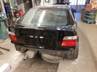 BMW e36 316i Mein erstes Auto * nun 323ti - 3er BMW - E36