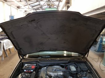 BMW e36 316i Mein erstes Auto * nun 323ti - 3er BMW - E36