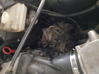 BMW e36 316i Mein erstes Auto * nun 323ti - 3er BMW - E36