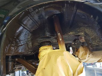 BMW e36 316i Mein erstes Auto * nun 323ti - 3er BMW - E36