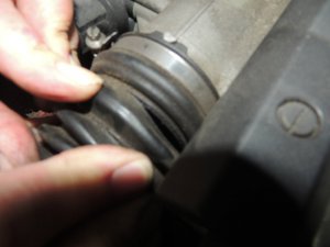E36 318i Cabrio Projekt 2017 + M52B28 Revision - 3er BMW - E36