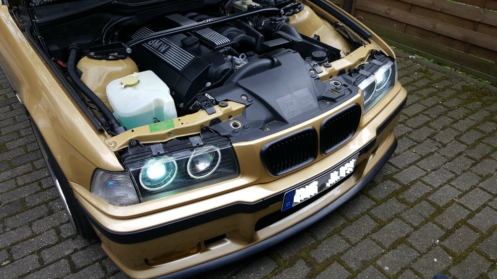 BMW 323TI in Bronze - 3er BMW - E36