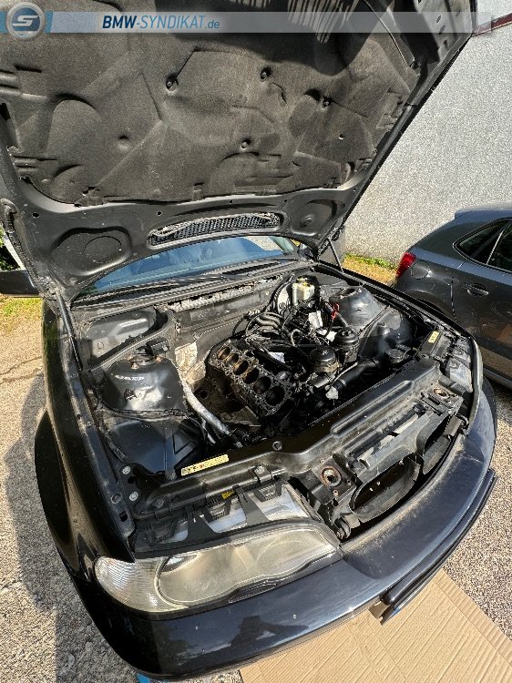 E46 330Ci Rebuild - 3er BMW - E46