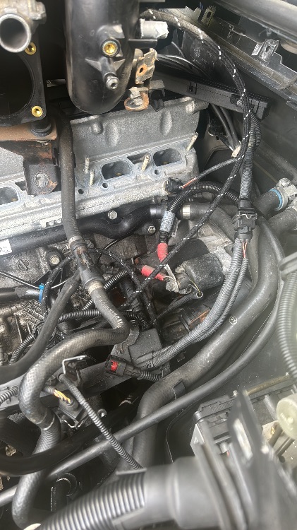 E46 330Ci Rebuild - 3er BMW - E46