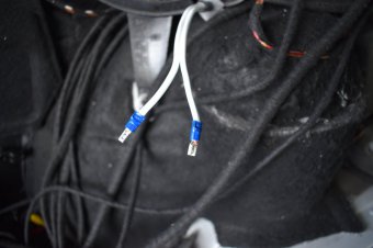 330xd "Warum mach ich das?"  Update 40 - 3er BMW - E46