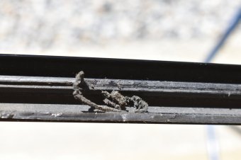 330xd "Warum mach ich das?"  Update 40 - 3er BMW - E46