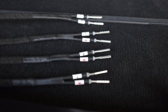 330xd "Warum mach ich das?"  Update 40 - 3er BMW - E46
