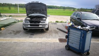 Stanced E46 - 3er BMW - E46
