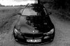 E91 320D - 3er BMW - E90 / E91 / E92 / E93 - bmw20.jpg