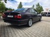 E34, M5 3,8 Daytona - 5er BMW - E34 - image.jpg