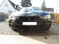 BMW Nieren M Colors