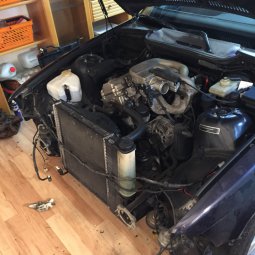 E36 316i digitiert zu 318is - 3er BMW - E36
