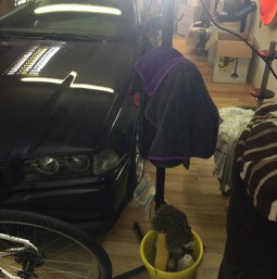 E36 316i digitiert zu 318is - 3er BMW - E36
