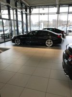 640i Black Edition *Update* - Fotostories weiterer BMW Modelle - IMG_6345.JPG
