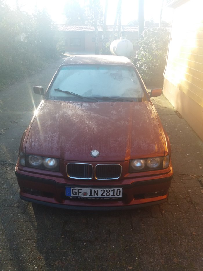 Meiner - 3er BMW - E36