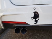 BMW M Performance 2-Rohr Endschalldmpfer Endrohrblende 2- Rohr