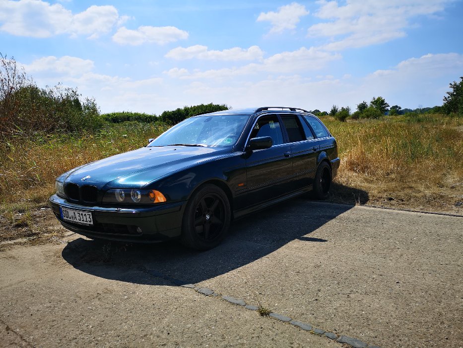 Weed Pravention - 5er BMW - E39