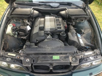 Green39er - 5er BMW - E39