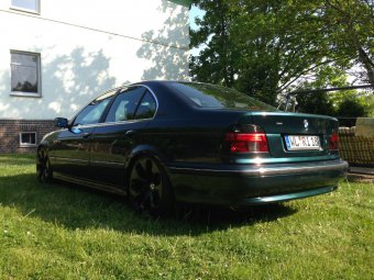 Green39er - 5er BMW - E39