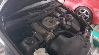 Treuer Gefhrte - 3er BMW - E36