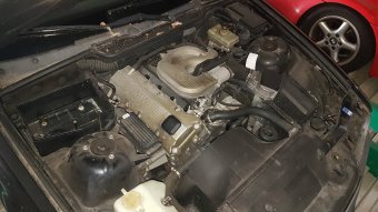 Treuer Gefhrte - 3er BMW - E36