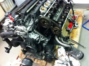 M539 Interlagosblau -> M5 Kompressor -> Schlachtun - 5er BMW - E39