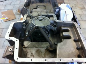 M539 Interlagosblau -> M5 Kompressor -> Schlachtun - 5er BMW - E39