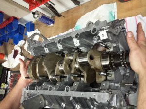 M539 Interlagosblau -> M5 Kompressor -> Schlachtun - 5er BMW - E39