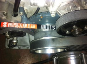 M539 Interlagosblau -> M5 Kompressor -> Schlachtun - 5er BMW - E39
