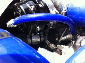 M539 Interlagosblau -> M5 Kompressor -> Schlachtun - 5er BMW - E39
