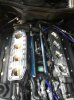 M539 Interlagosblau -> M5 Kompressor -> Schlachtun - 5er BMW - E39 - IMG_0846.jpg