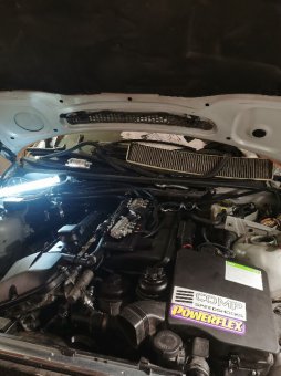 330i nach 7 Jahren wieder fit - 3er BMW - E46 330i nach 7 Jahren wieder fit - 3er BMW - E46