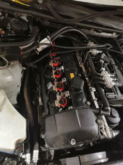 330i nach 7 Jahren wieder fit - 3er BMW - E46