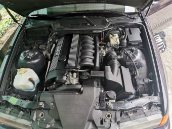 e36 323iA madeira violett from Croatia - 3er BMW - E36 e36 323iA madeira violett from Croatia - 3er BMW - E36