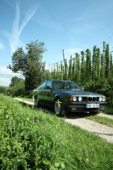 BMW E34 520i M20 1988 - 5er BMW - E34