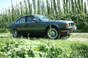 BMW E34 520i M20 1988 - 5er BMW - E34