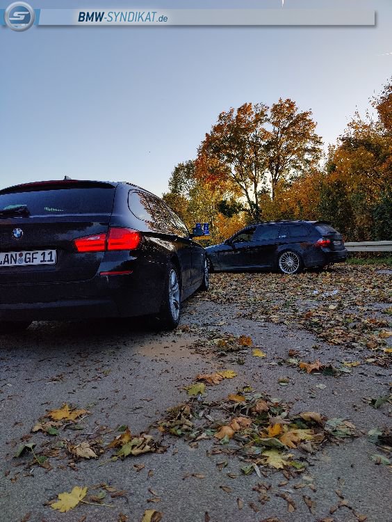 Black F11 530D - 5er BMW - F10 / F11 / F07