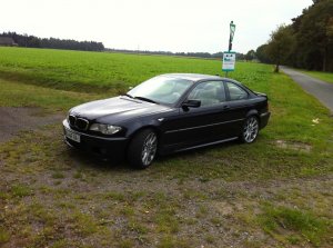 Wie Phoenix aus der Asche - 3er BMW - E46